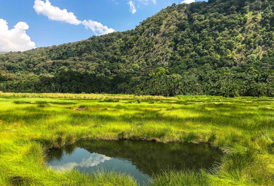 Semuliki National Park, Western Uganda (Bundibugyo District), Uganda